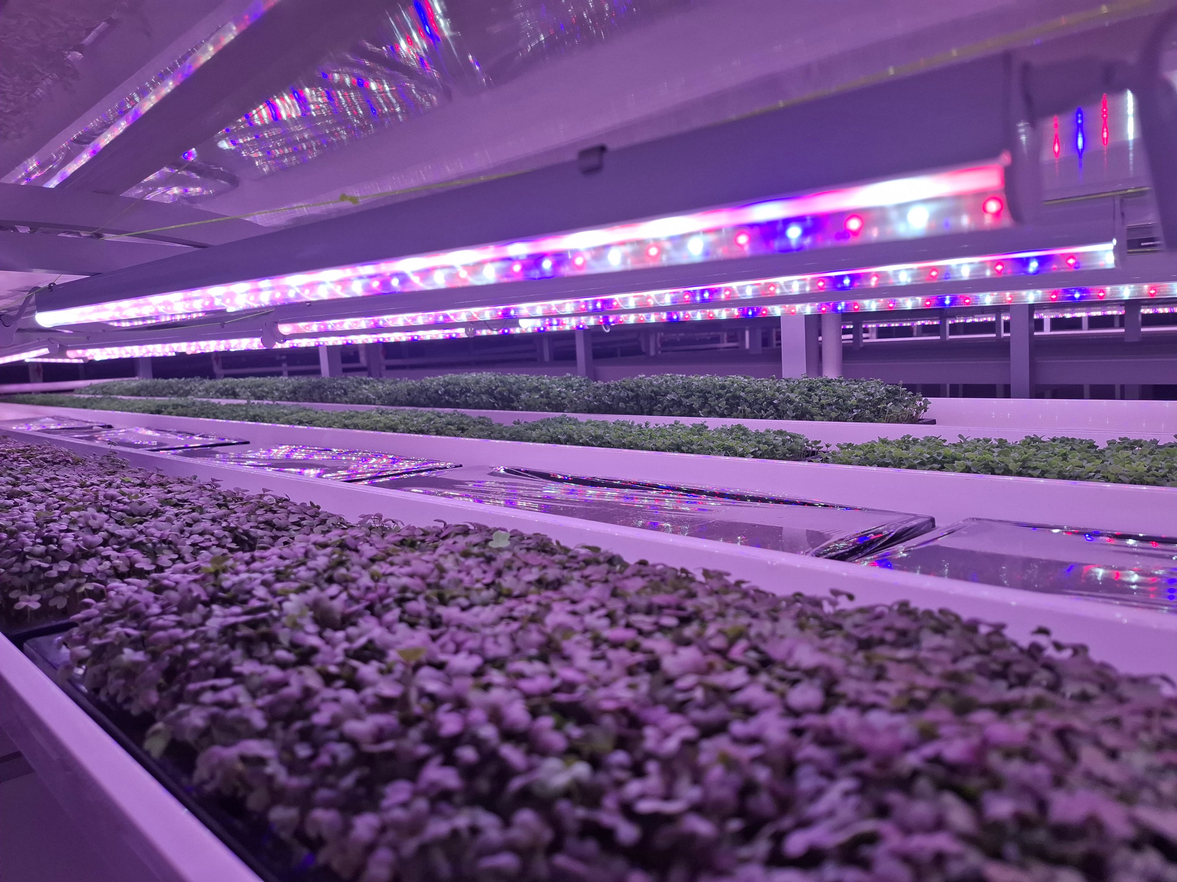 Green Codex facility · operational photography